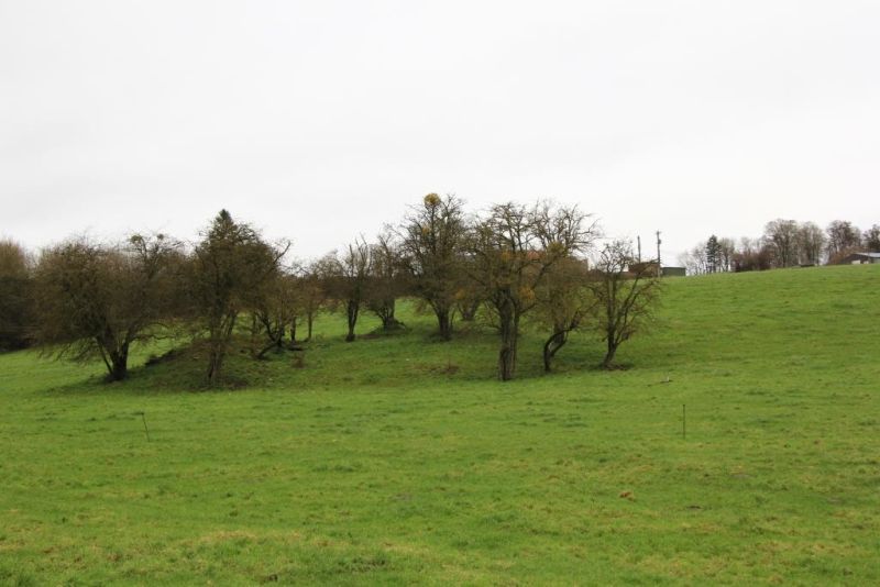 Fichier:IMG 3701.71.jpg