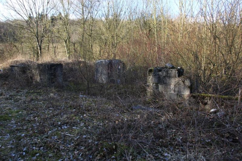 Fichier:IMG 4051.71.jpg