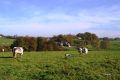 Depuis Raou, vue sur la ferme du Bout, la Basse Voye et le Thier de l'Ovreux 27.10.2014