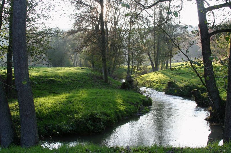 Fichier:IMG 4978.15.71.jpg