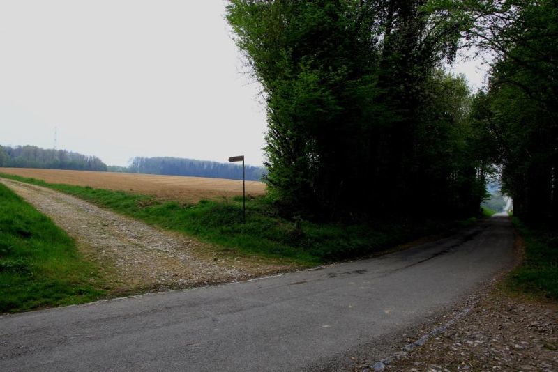 Fichier:IMG 5578.71.jpg