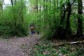 Le chemin vers l'Herberain Photo 19.04.2020