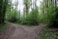 La bifurcation : à gauche descente vers Ellemelle, à droite vers l'Herberain, derrière nous à 2 km, Houchenée Photo 19.04.2020