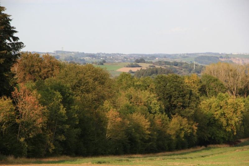 Fichier:IMG 5724.71.JPG