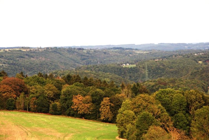 Fichier:IMG 5726.71.JPG