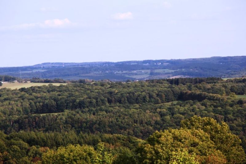 Fichier:IMG 5732.71.JPG