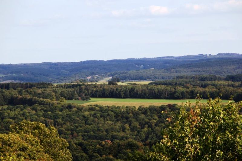 Fichier:IMG 5733.71.JPG