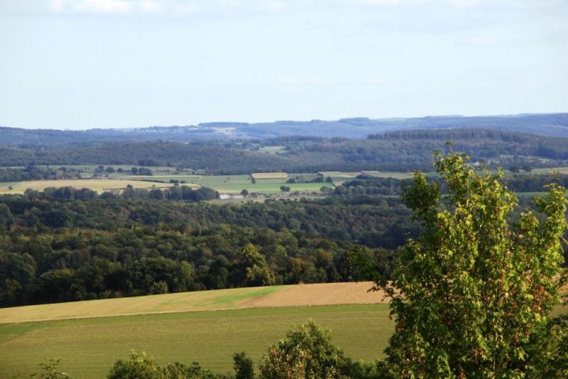 Fichier:IMG 5736.71.JPG
