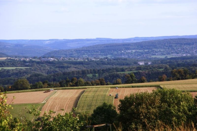 Fichier:IMG 5738.71.JPG