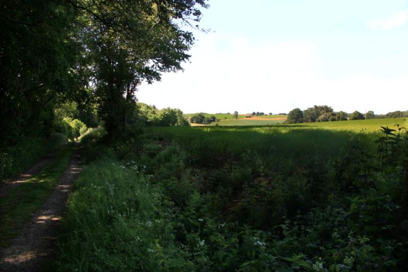 Fichier:IMG 7329.21.71.jpg