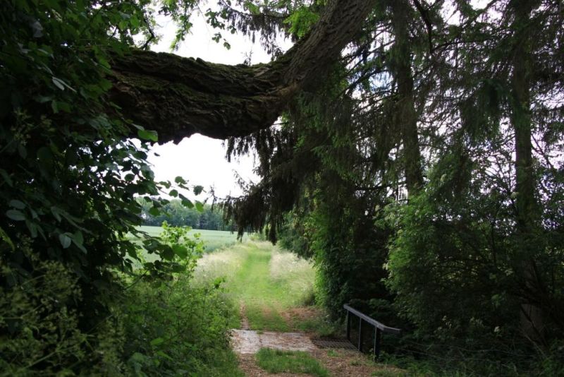 Fichier:IMG 7368.71.JPG