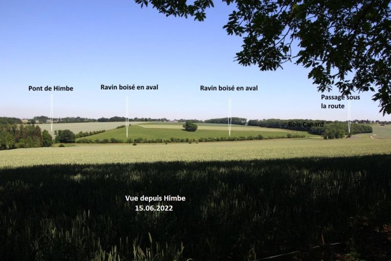 Fichier:IMG 7401.62.71.jpg