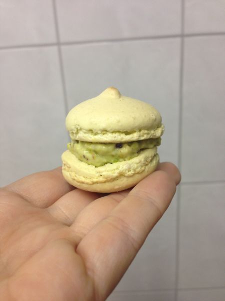 Fichier:IMG 9668.JPG