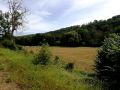 De la N623, en face du chemin, c'est toujours la commune d'Ouffet jusqu'au Néblon à une centaine de mètres Photo 19.08.2020