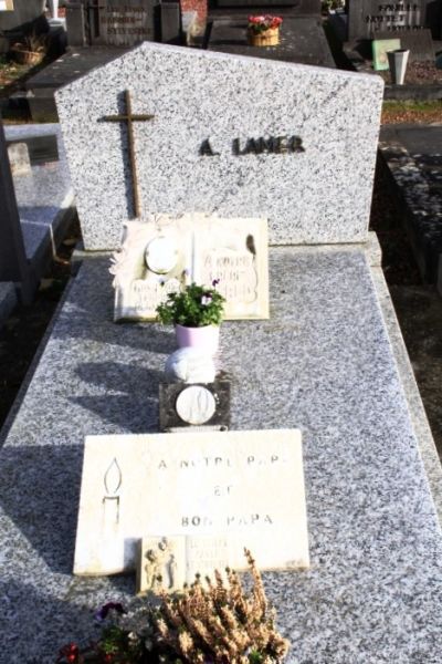 Fichier:Lamer-Lamer NC497.JPG