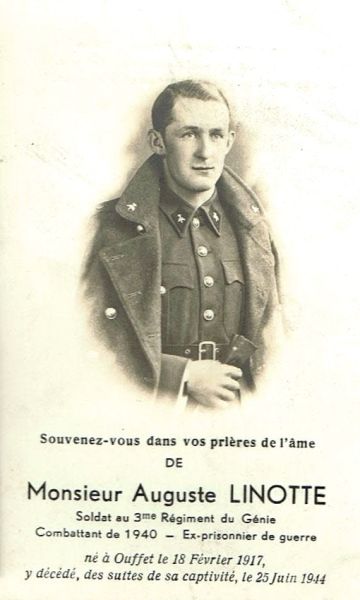 Fichier:Linotte Auguste.jpg