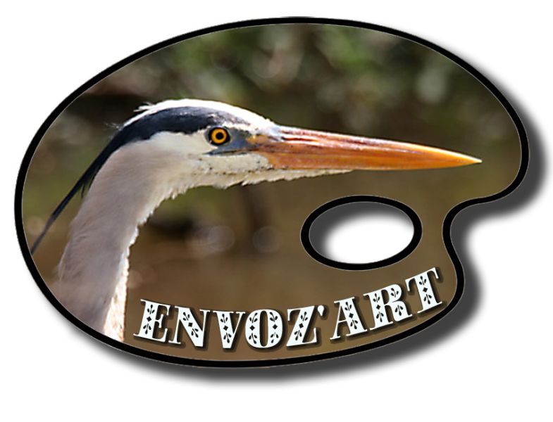 Fichier:Logo envozart.jpg