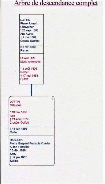 Fichier:Lottin X Beaufort généa Crossée.jpg