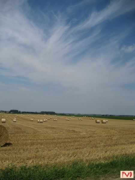 Fichier:Moisson à Tourinne.JPG