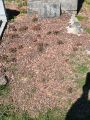 Photo 01/04/2025