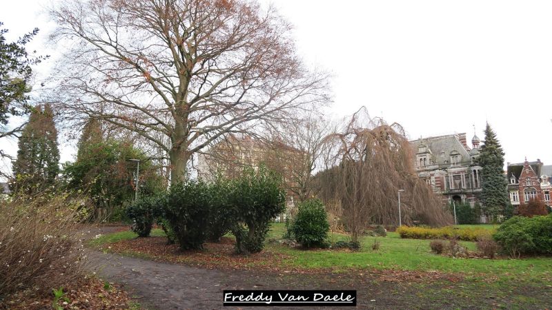 Fichier:PARC VIERSET.JPG