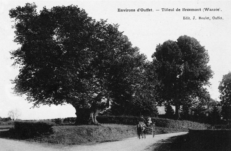 Fichier:PM0096.71.jpg