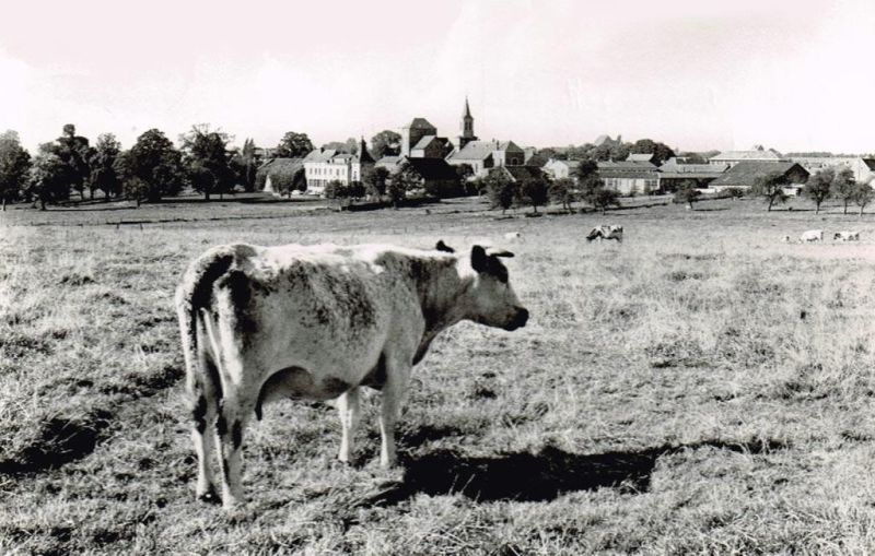Fichier:PM0121.71.jpg