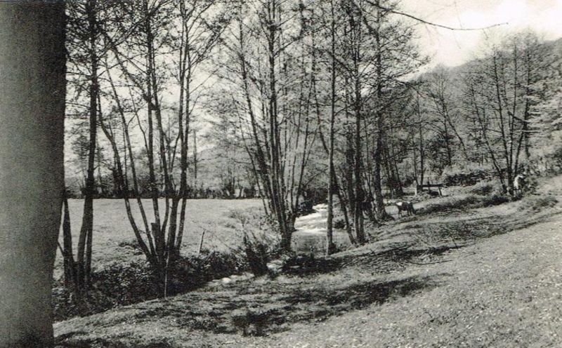 Fichier:PM0440.71.jpg