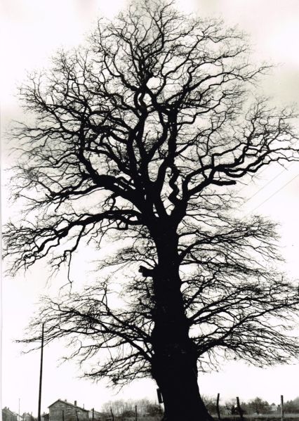 Fichier:PM0556.71.jpg