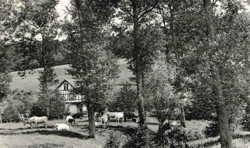 Fichier:PM0902.71.jpg
