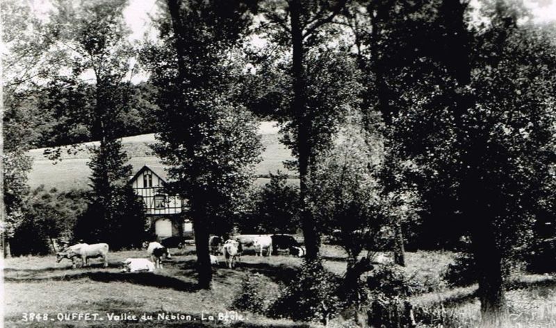 Fichier:PM0917.71.jpg
