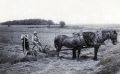 Né en 1910, Pierre dit Joseph BERNARD sur la barre faucheuse
