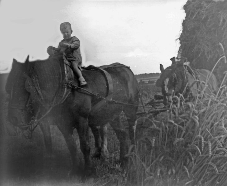 Fichier:PM9739.71.jpg