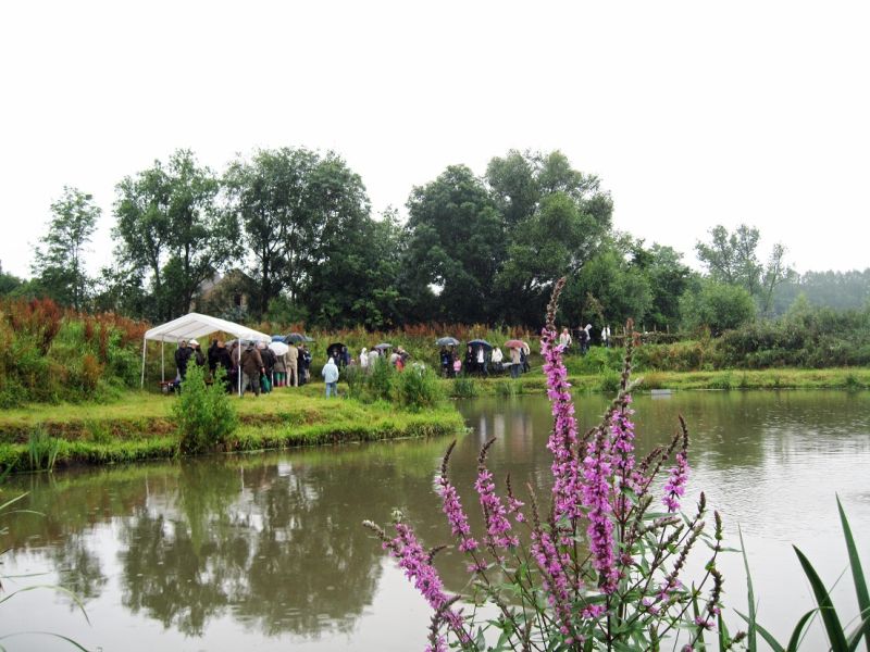 Fichier:Parc humide didactique.jpg