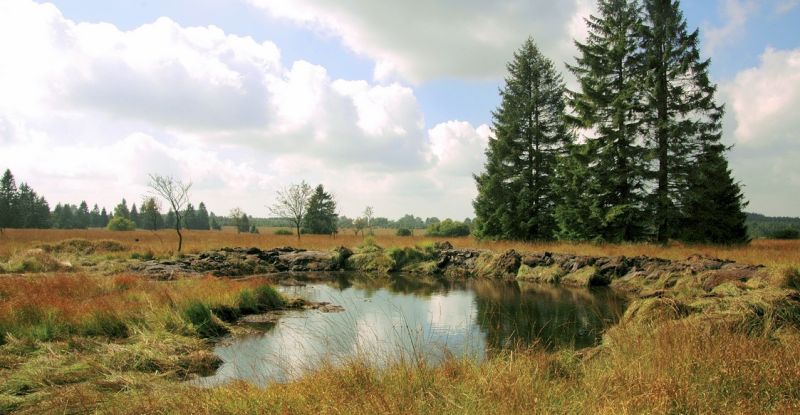 Fichier:Plateau des Tailles.jpg
