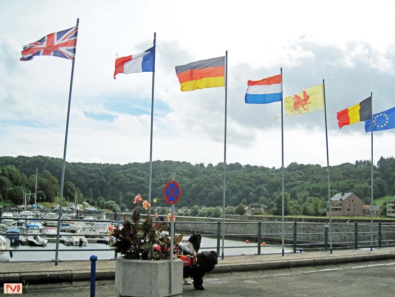 Fichier:Port de Statte à Huy.JPG