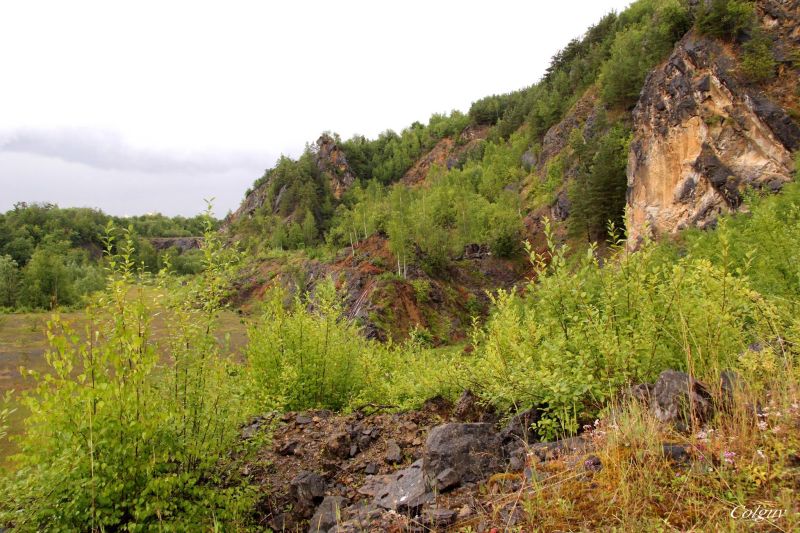 Fichier:Réserve naturelle Lovegnée-Bosquet4.jpg