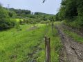Le Ruisseau de Renne dans le fond marécageux peu avant la N623