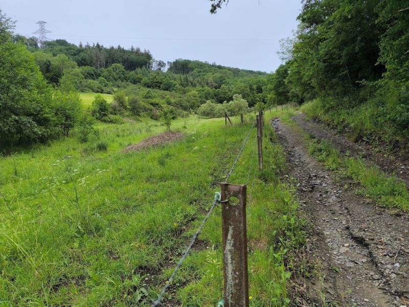 Fichier:Renal Ruisseau de Renne (1).jpg