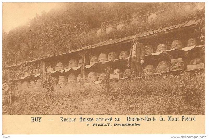Fichier:Rucher Pirnay.jpg