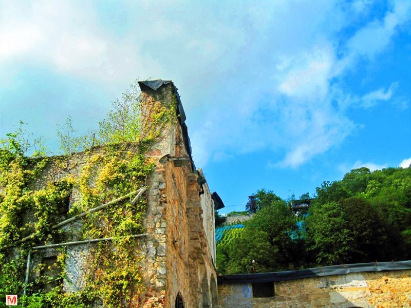 Fichier:Ruines de la Léproserie.JPG