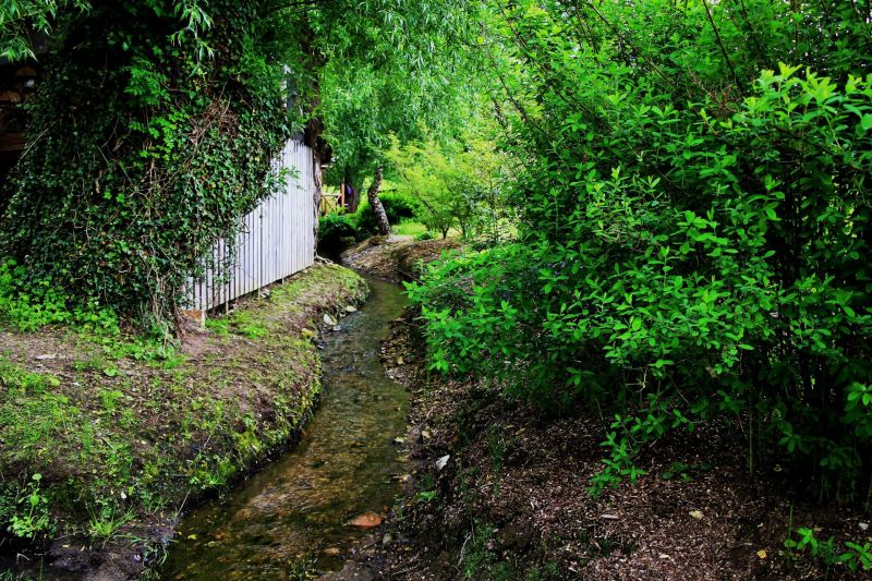 Fichier:Ruis Ell à Moulin (5).jpg