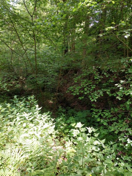 Fichier:Ruis Houpe-le-Loup (10).jpg