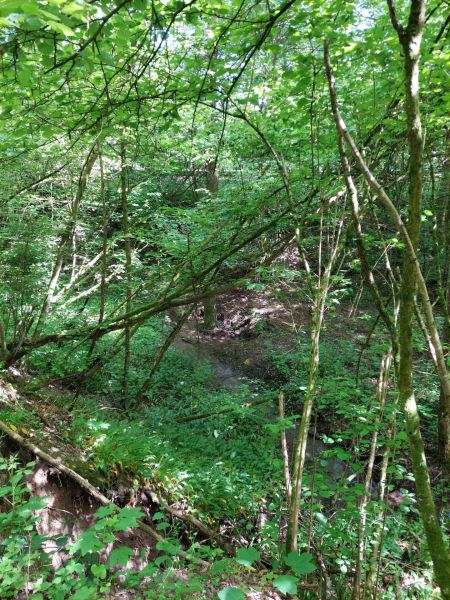 Fichier:Ruis Houpe-le-Loup (11).jpg