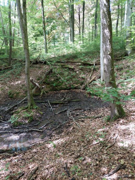 Fichier:Ruis Houpe-le-Loup (4).jpg