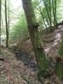 Vignette pour la version du 28 mai 2026 à 16:59