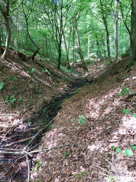Fichier:Ruis Houpe-le-Loup (6).jpg