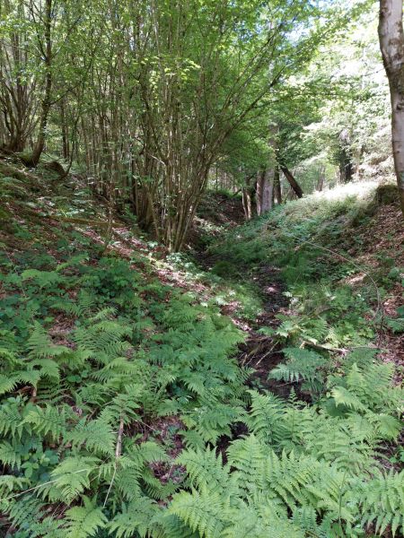 Fichier:Ruis Houpe-le-Loup (7).jpg