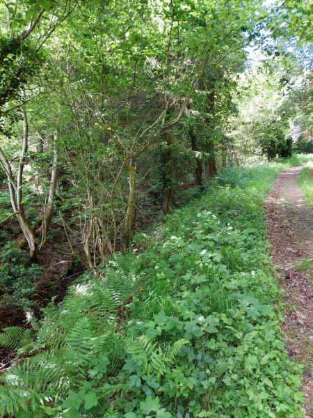 Fichier:Ruis Houpe-le-Loup (9).jpg