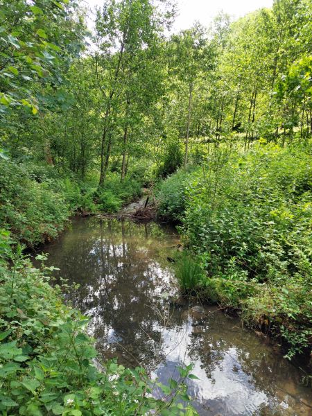 Fichier:Ruis de Renal (19).jpg